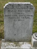 image of grave number 269395